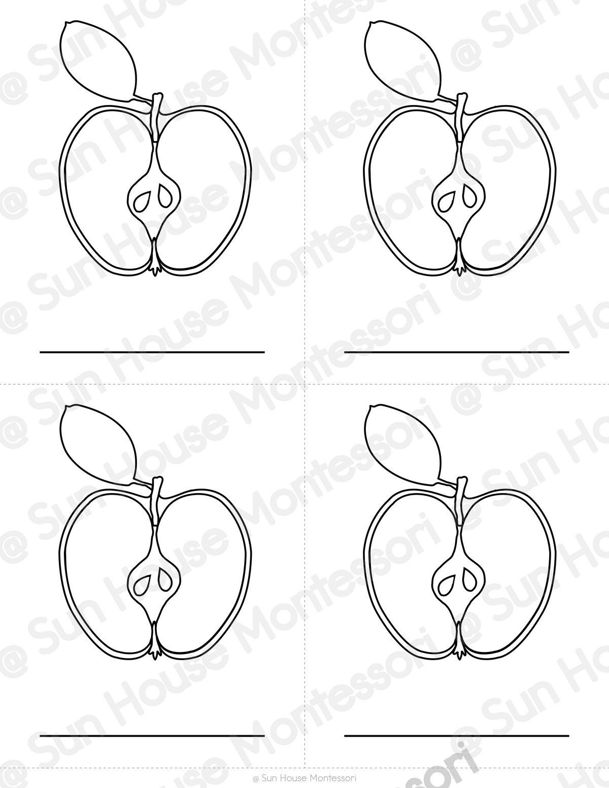 Parts of an Apple Nomenclature Cards
