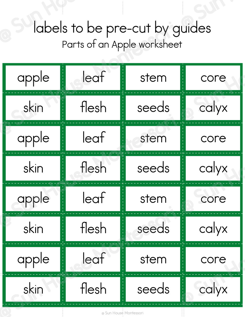 Parts of an Apple Nomenclature Cards