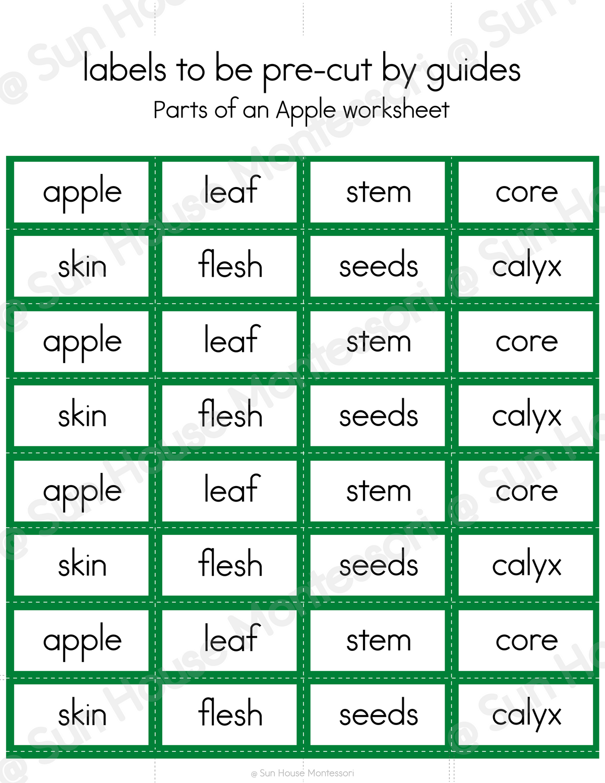 Parts of an Apple Nomenclature Cards