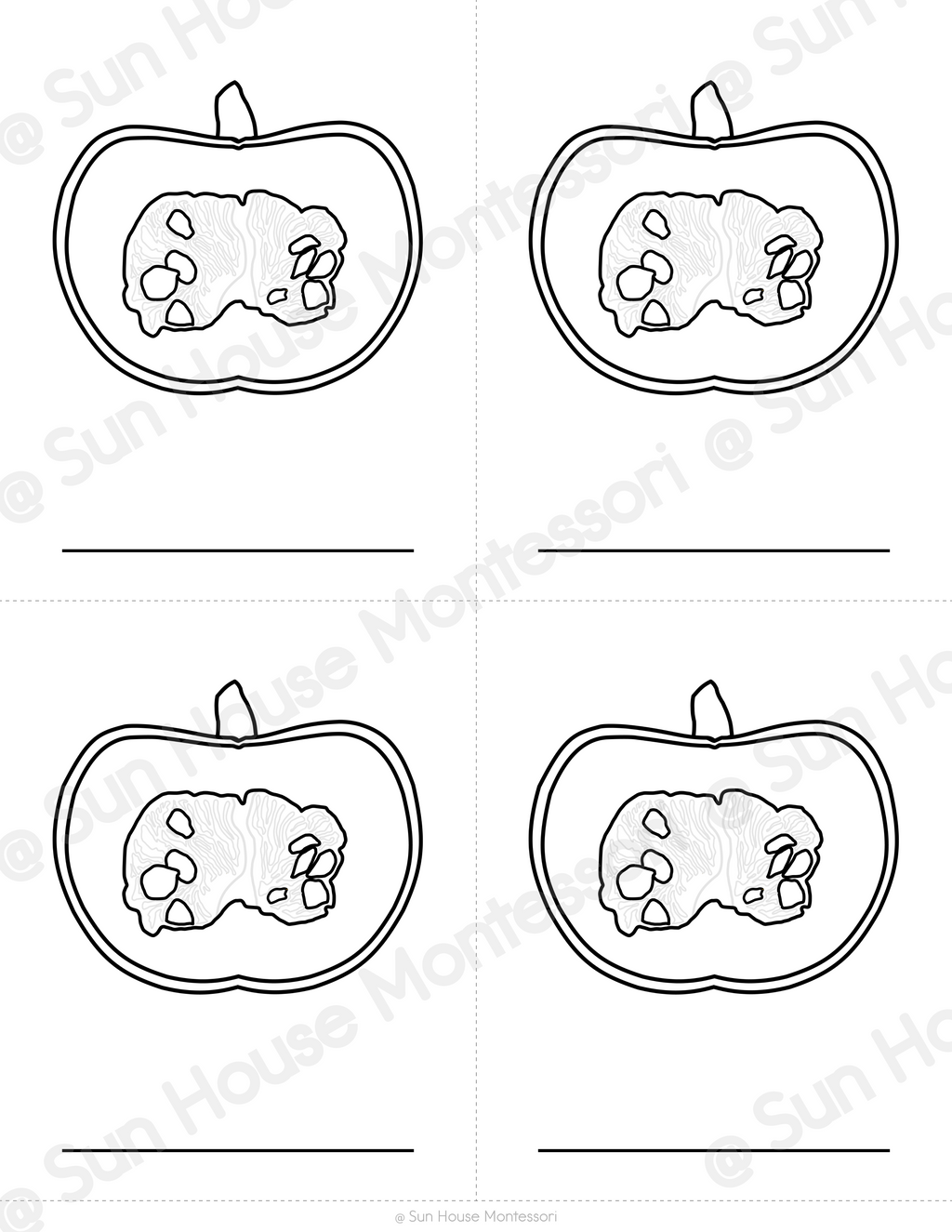 Parts of a Pumpkin Nomenclature Cards