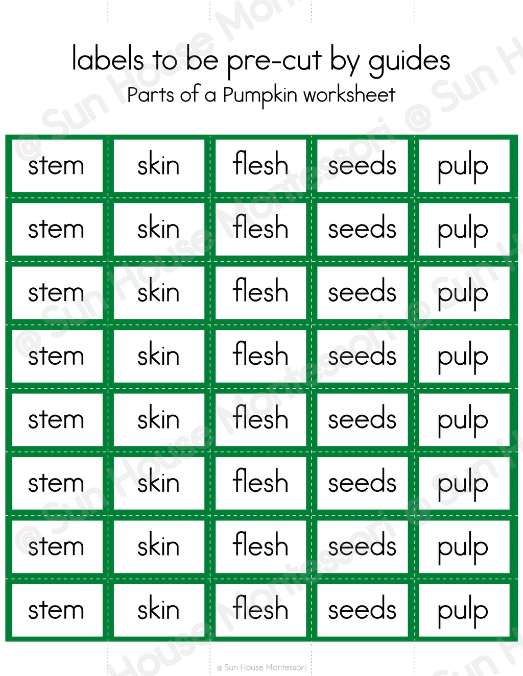 Parts of a Pumpkin Nomenclature Cards