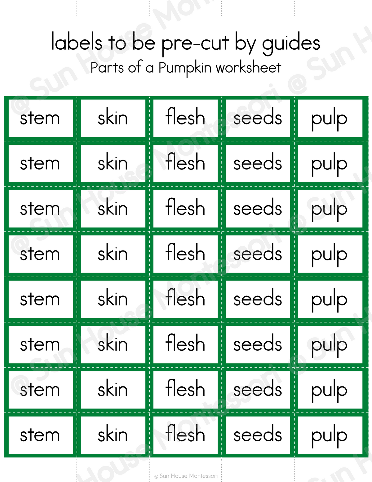 Parts of a Pumpkin Nomenclature Cards