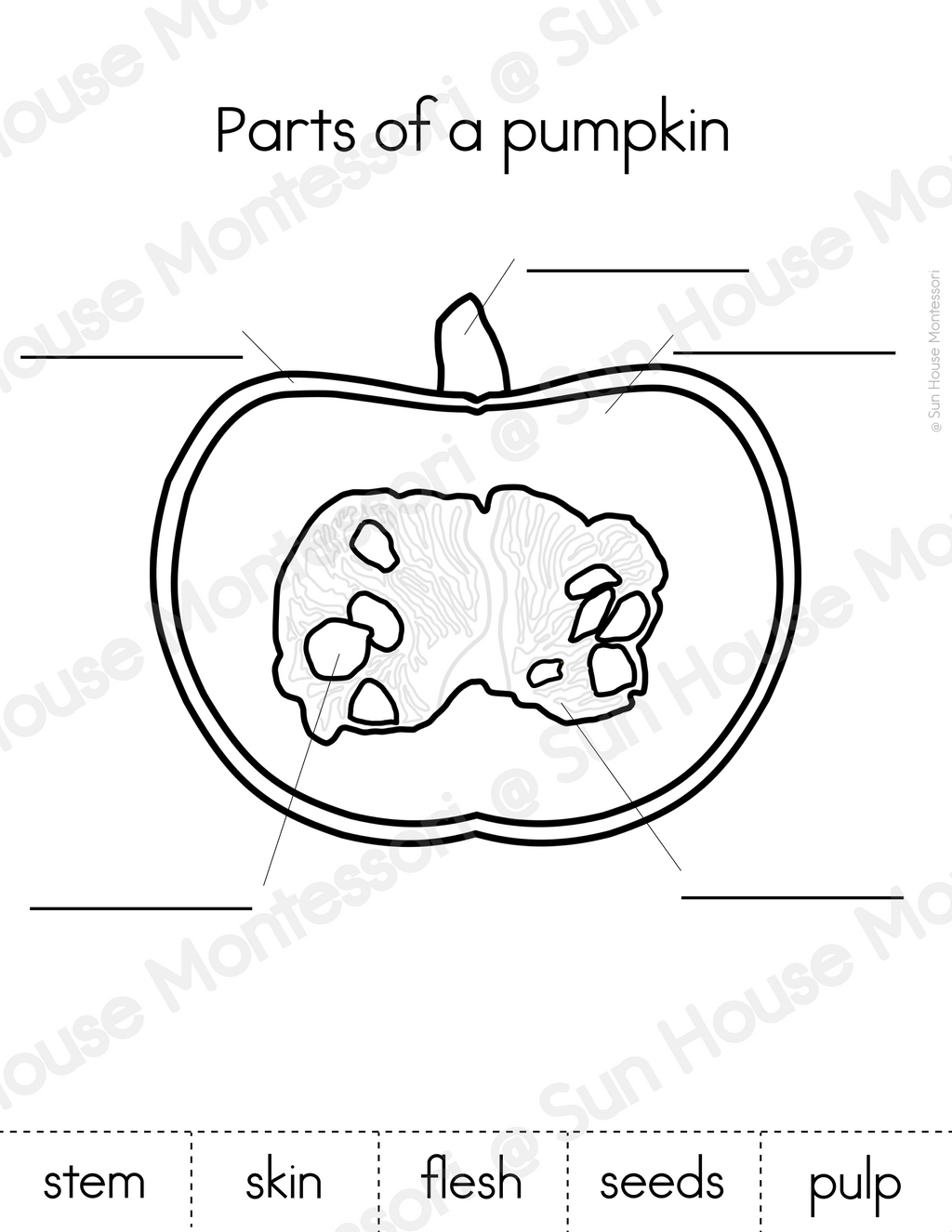 Parts of a Pumpkin Nomenclature Cards