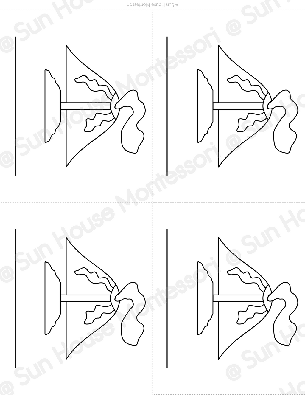Parts of a Volcano Nomenclature Cards