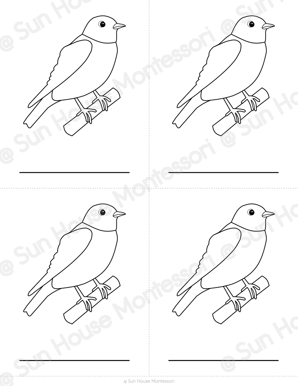 Parts of a Bird Nomenclature Cards
