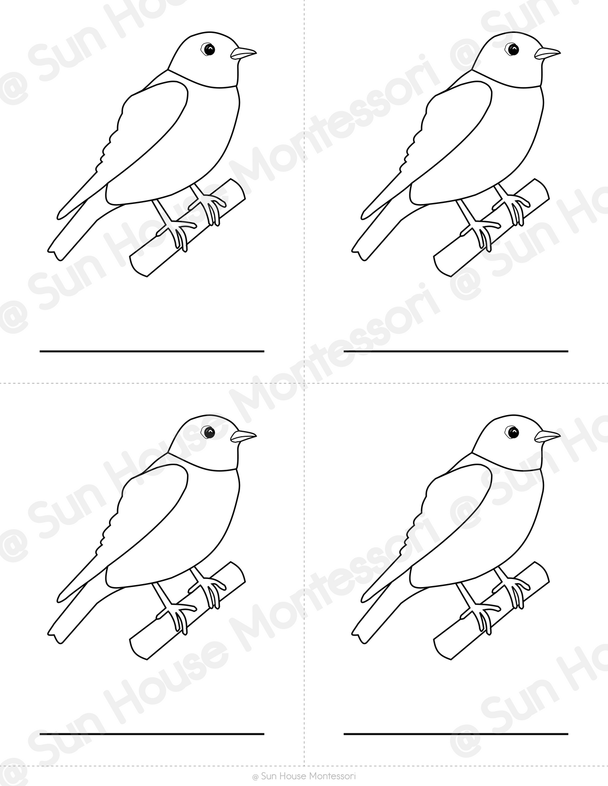 Parts of a Bird Nomenclature Cards