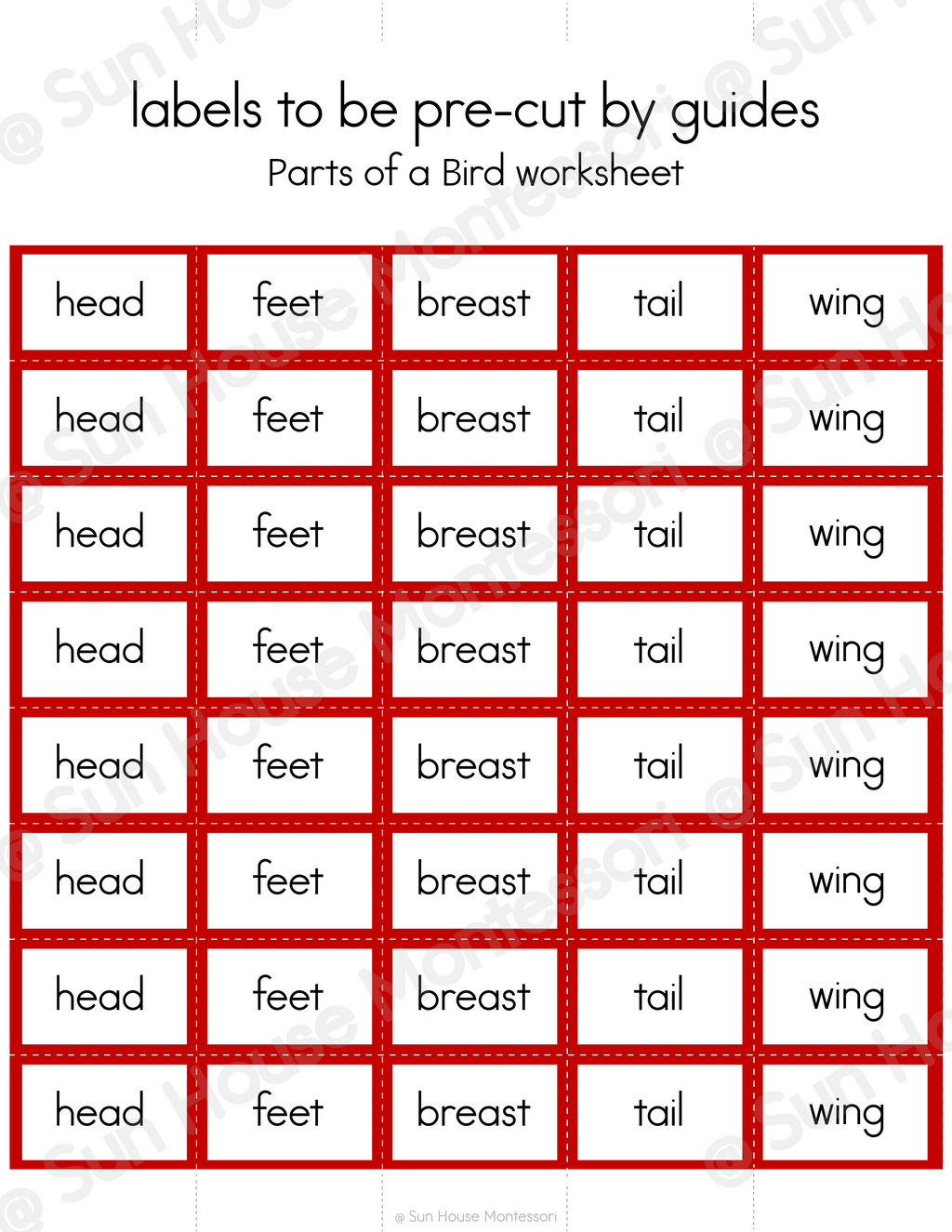 Parts of a Bird Nomenclature Cards