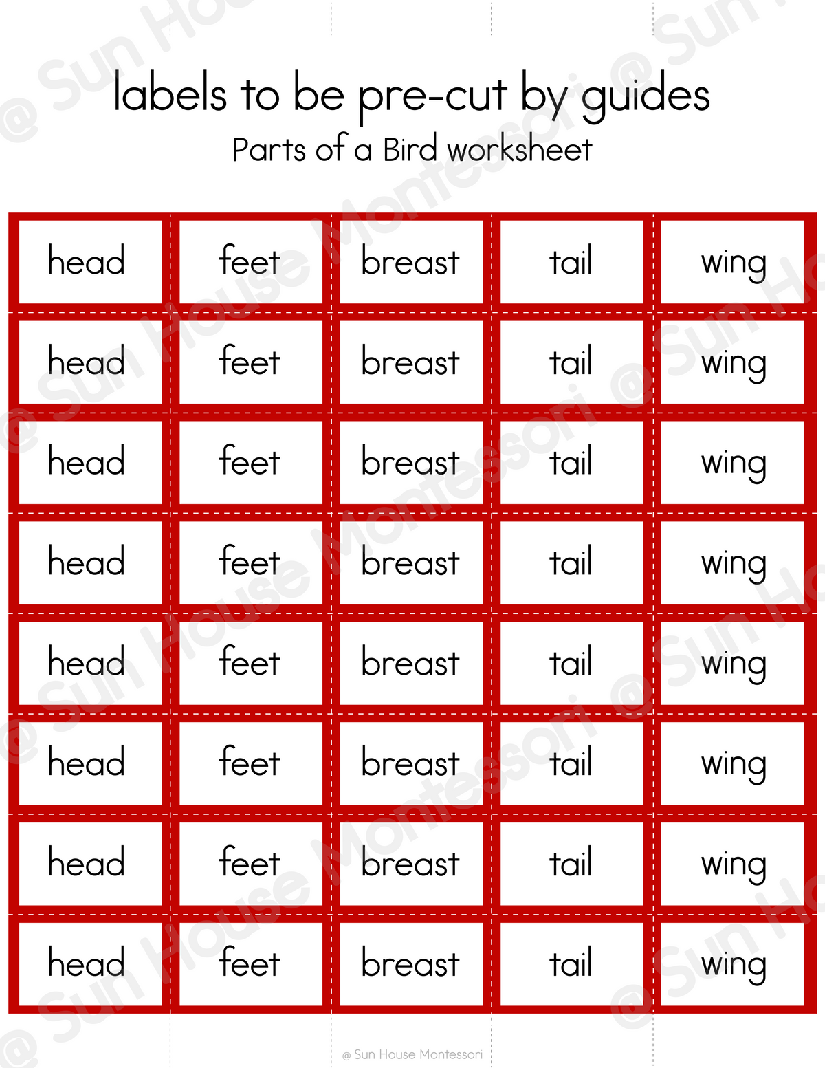 Parts of a Bird Nomenclature Cards