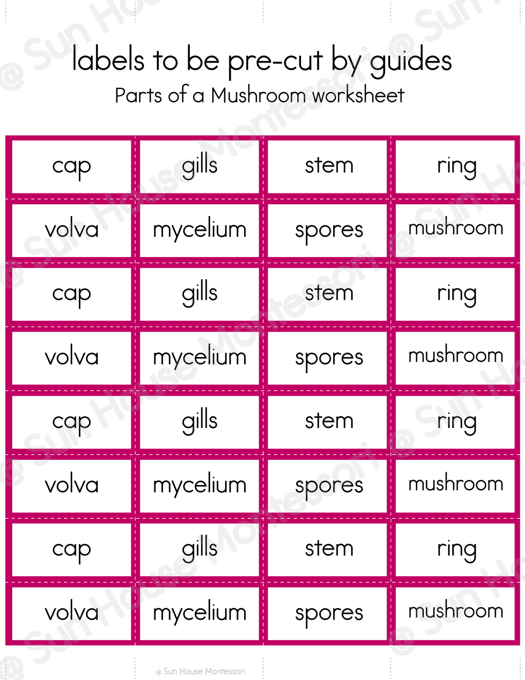 Parts of a Mushroom Nomenclature Cards