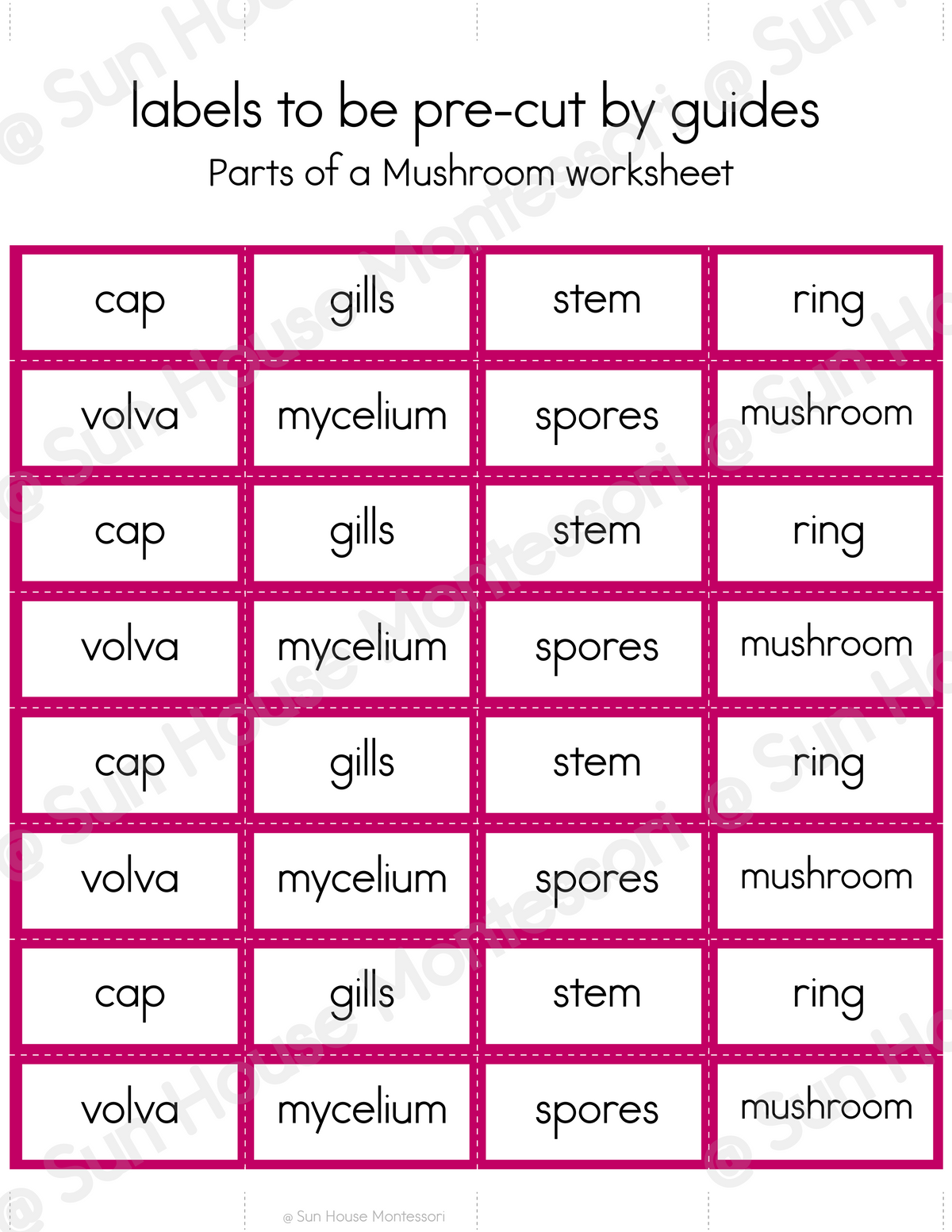 Parts of a Mushroom Nomenclature Cards