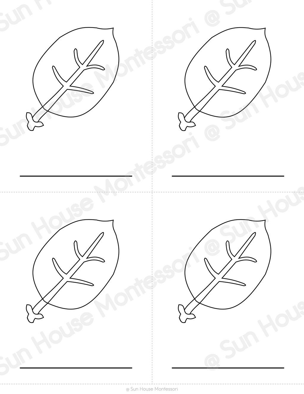 Parts of a Leaf Nomenclature Cards