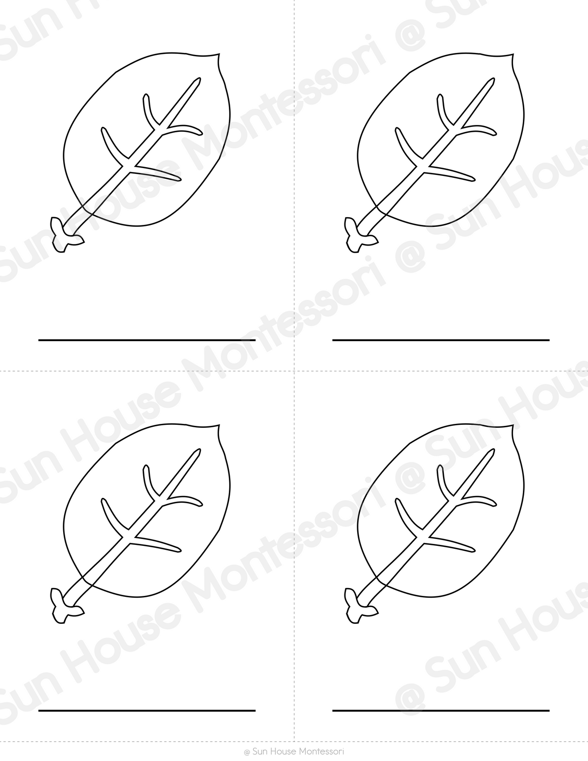 Parts of a Leaf Nomenclature Cards