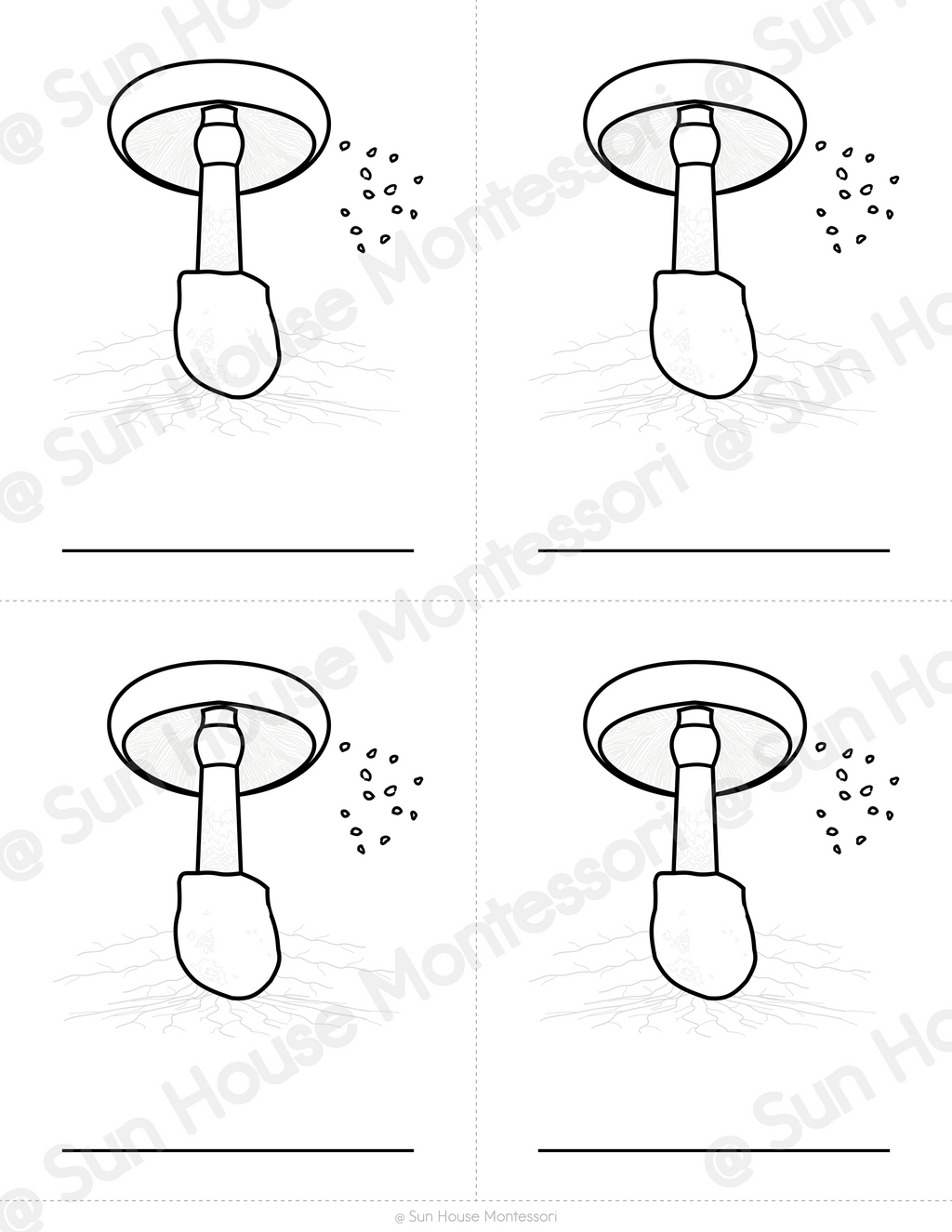 Parts of a Mushroom Nomenclature Cards