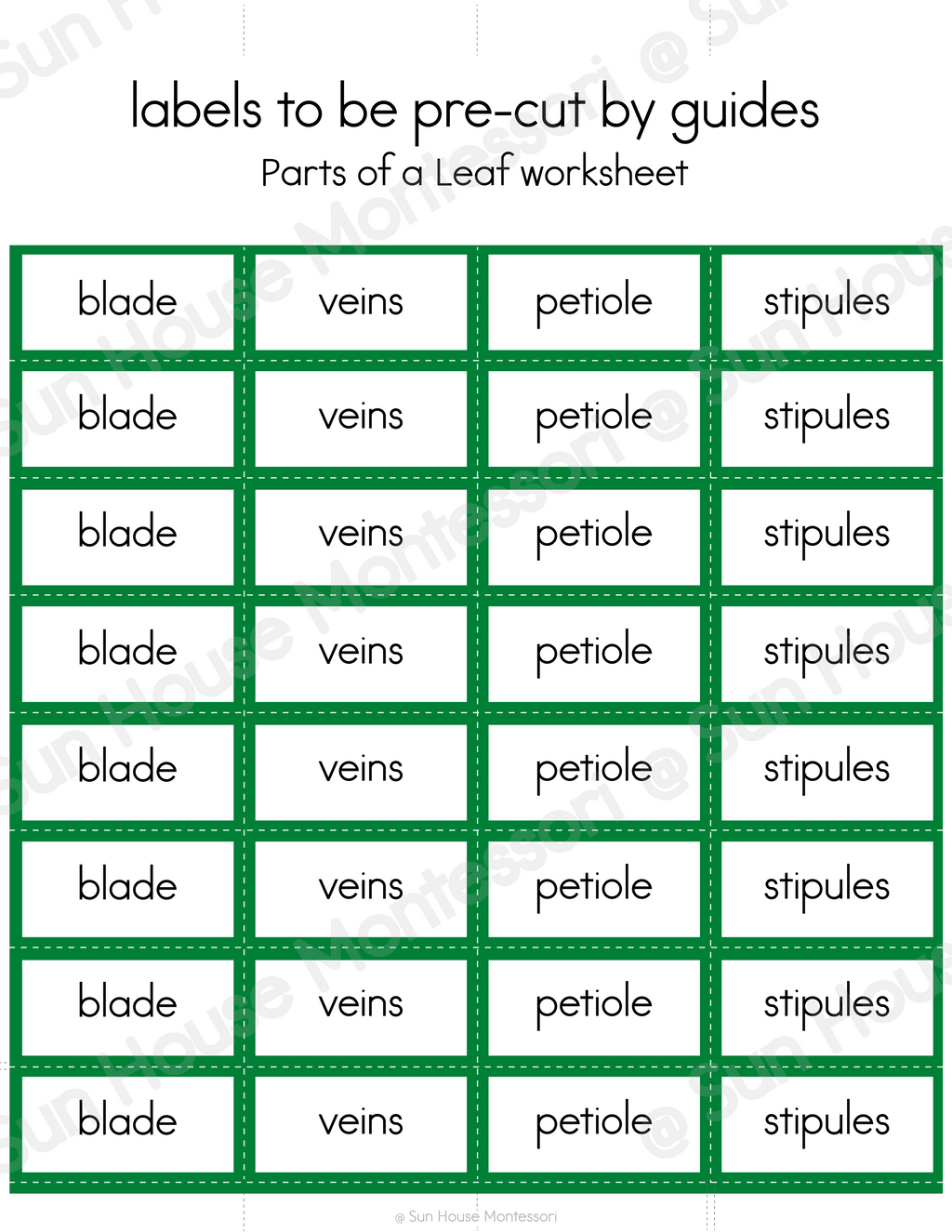 Parts of a Leaf Nomenclature Cards