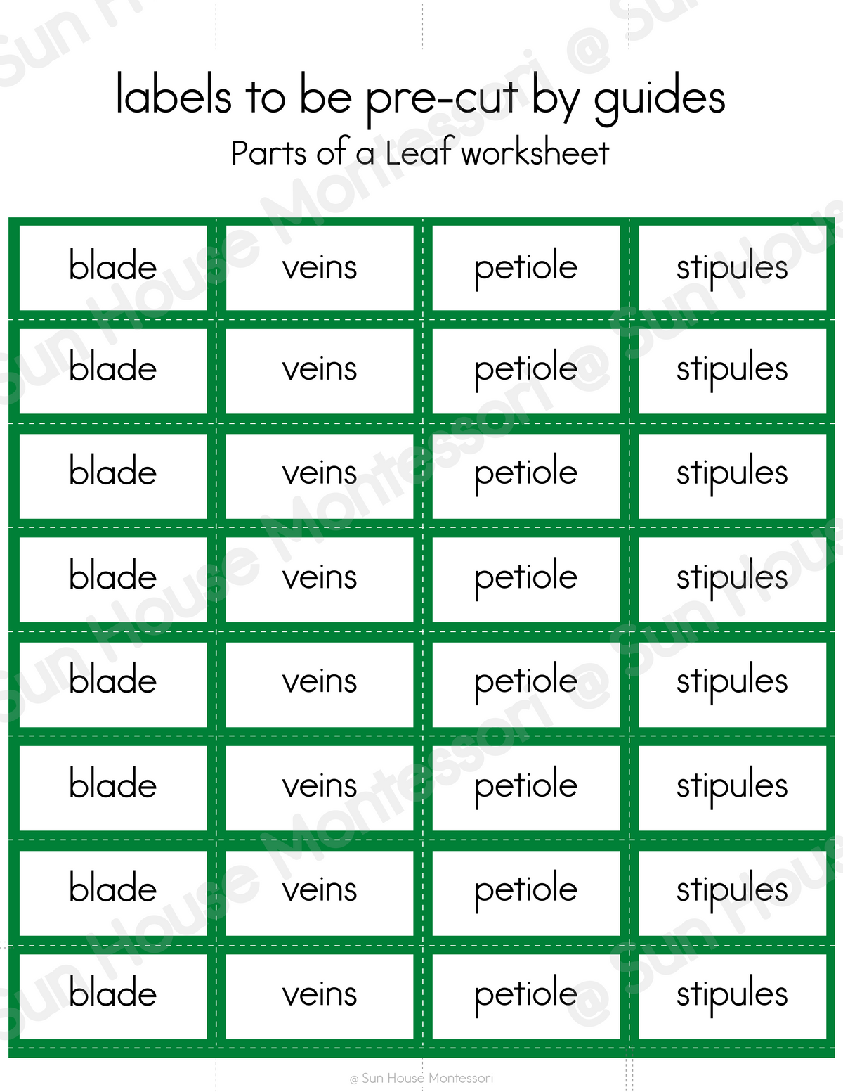 Parts of a Leaf Nomenclature Cards