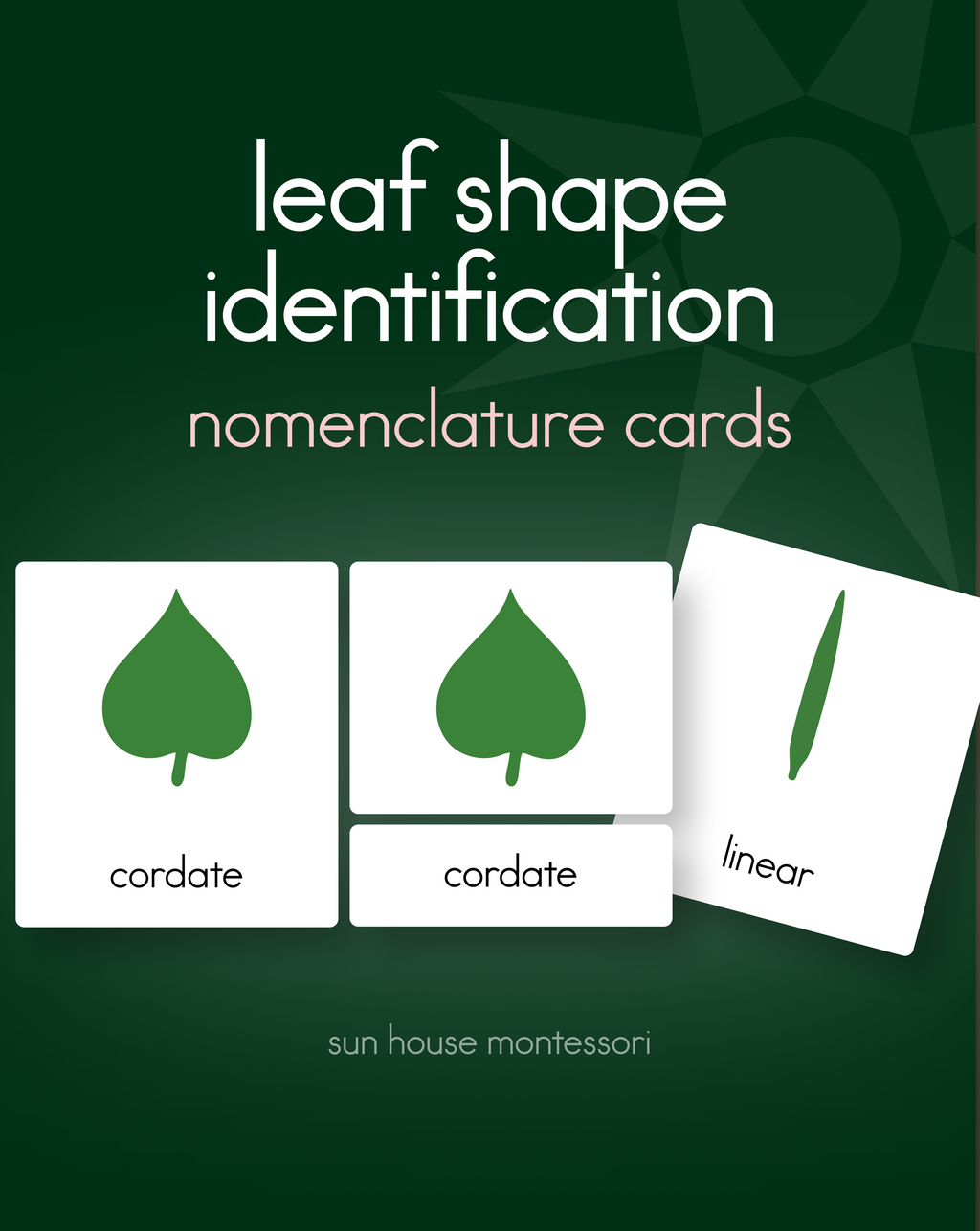 Botany Cabinet Nomenclature Cards
