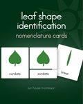 Botany Cabinet Nomenclature Cards