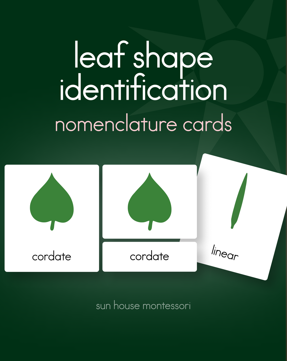 Botany Cabinet Nomenclature Cards
