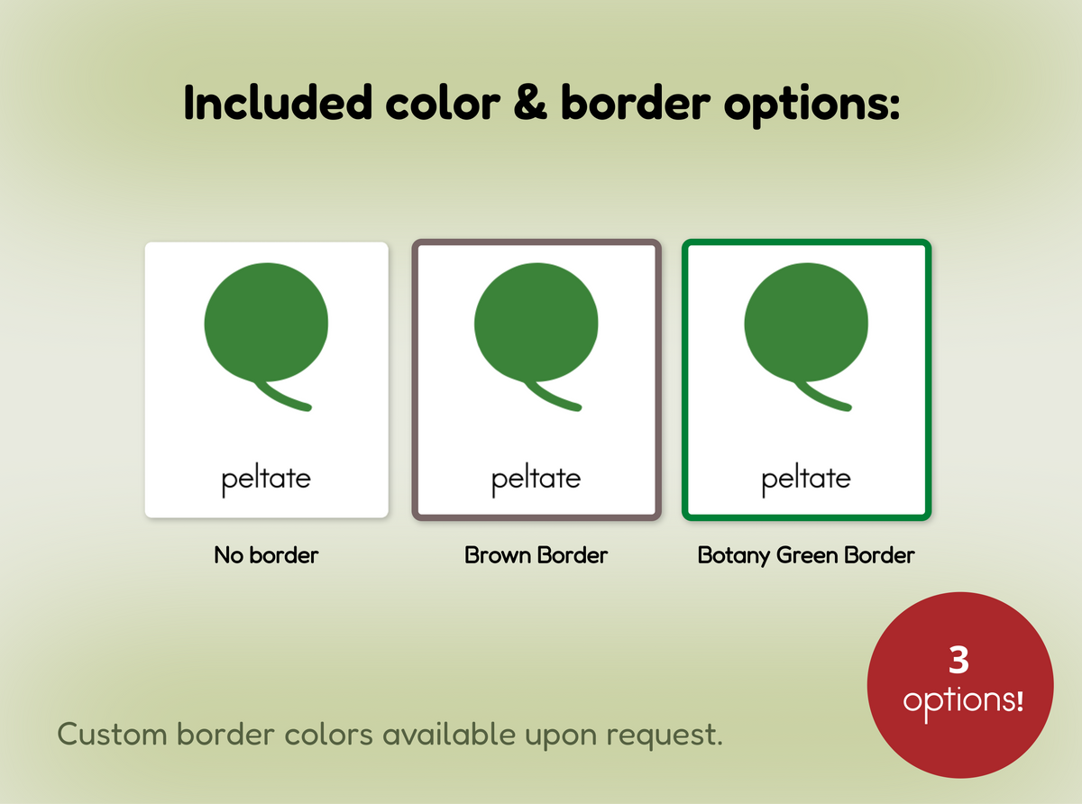 Botany Cabinet Nomenclature Cards