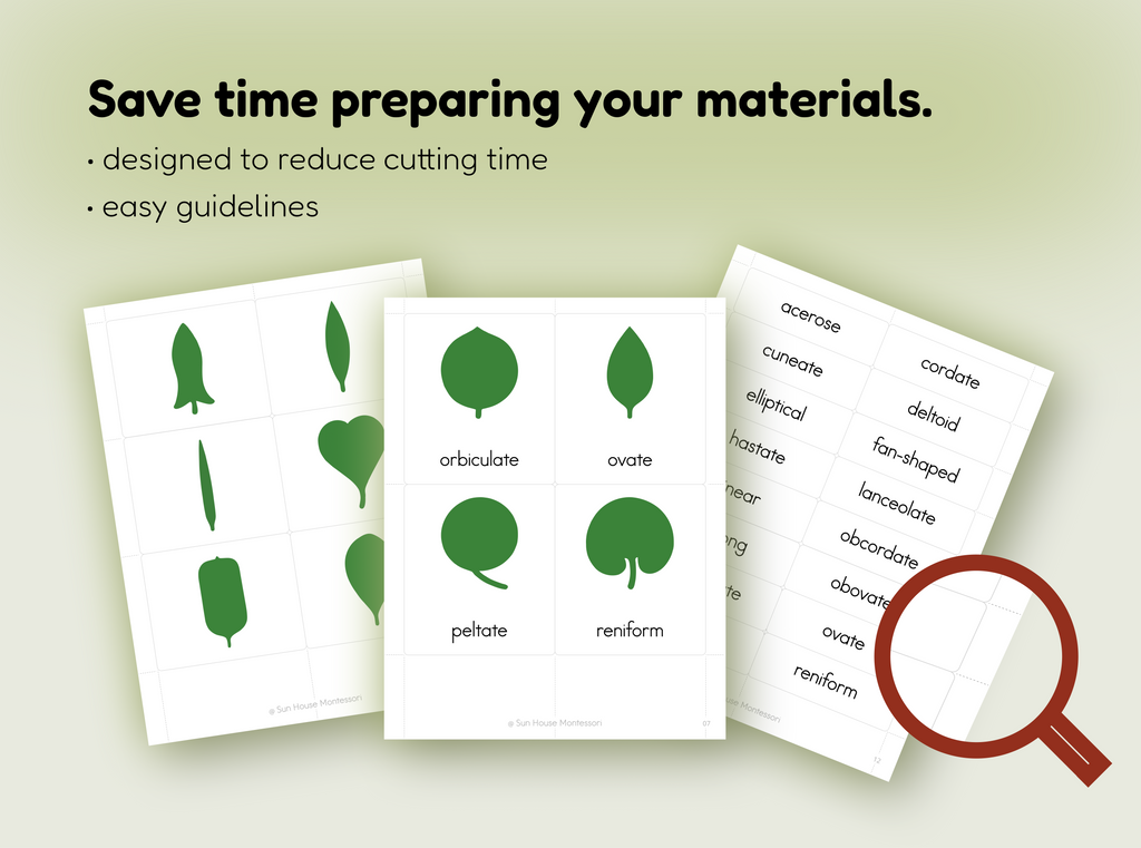 Botany Cabinet Nomenclature Cards