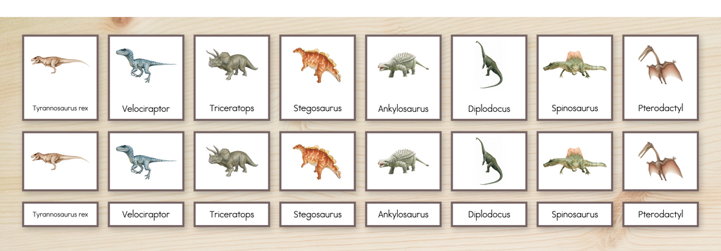 Dinosaurs Nomenclature Cards