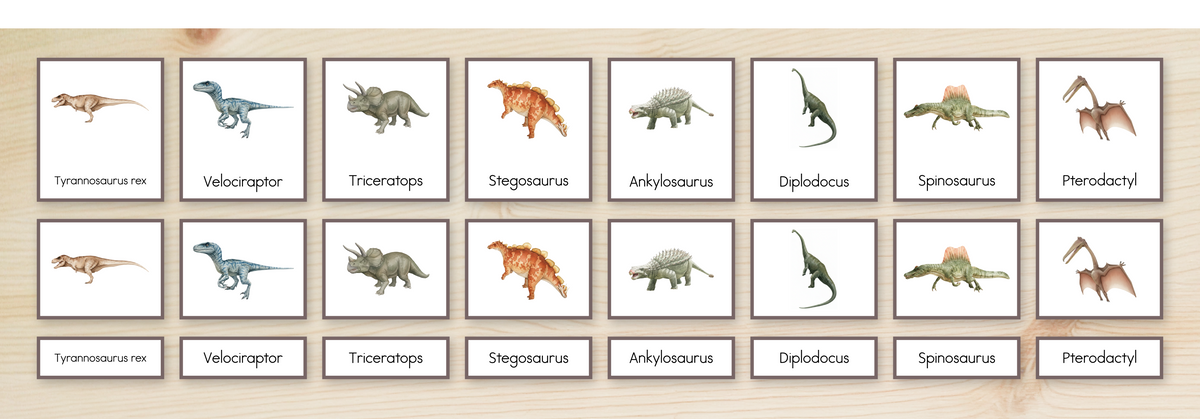 Dinosaurs Nomenclature Cards