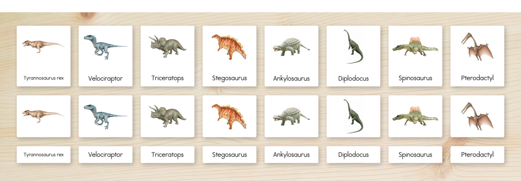 Dinosaurs Nomenclature Cards