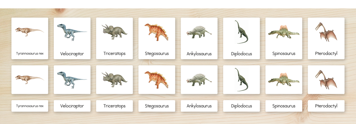 Dinosaurs Nomenclature Cards