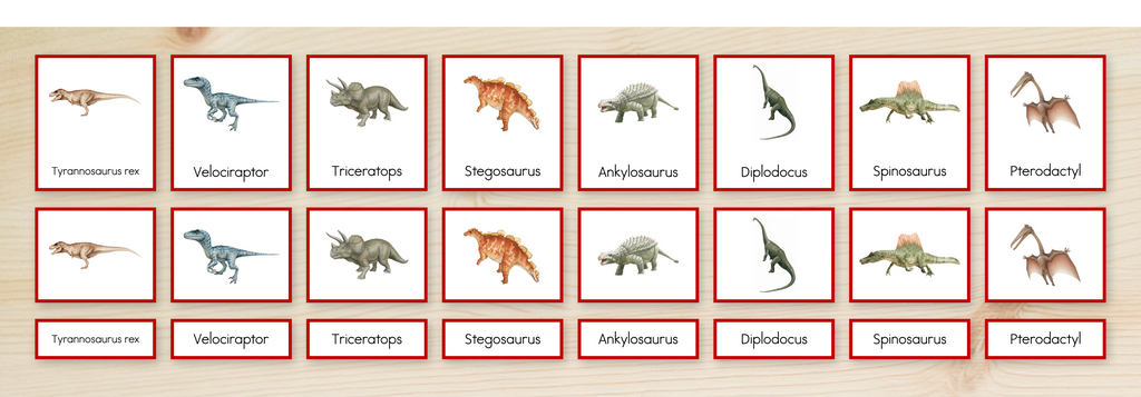 Dinosaurs Nomenclature Cards
