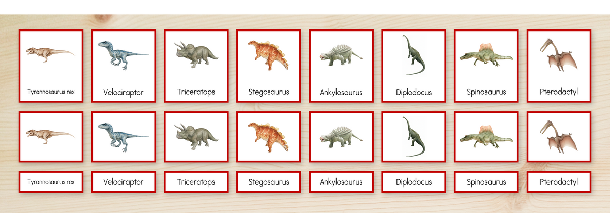 Dinosaurs Nomenclature Cards