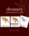 Dinosaurs Nomenclature Cards