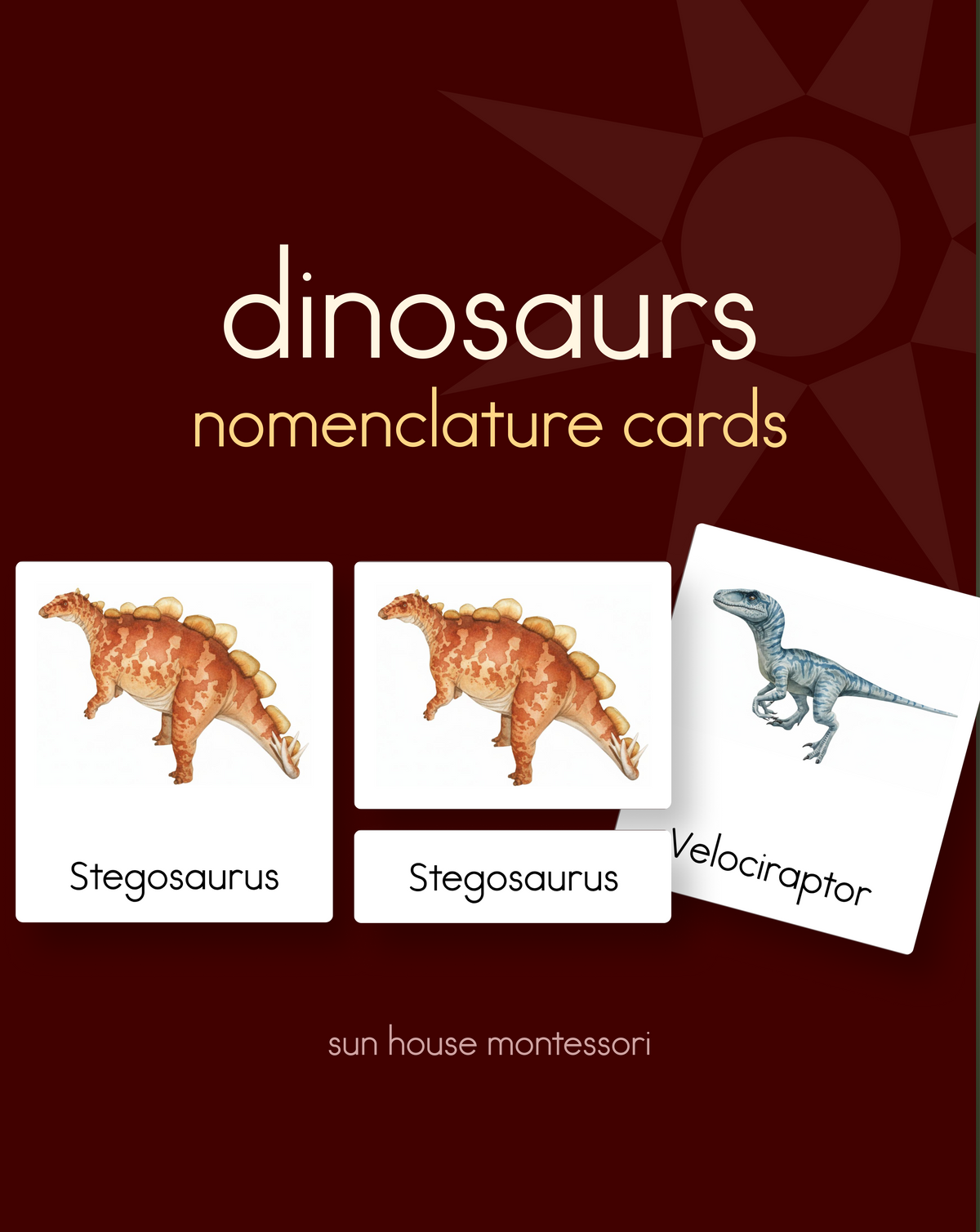 Dinosaurs Nomenclature Cards