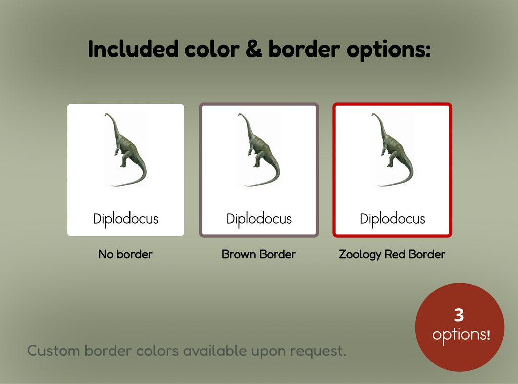 Dinosaurs Nomenclature Cards