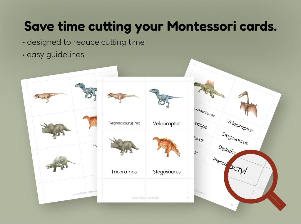 Dinosaurs Nomenclature Cards