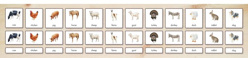 Farm Animals Nomenclature Cards