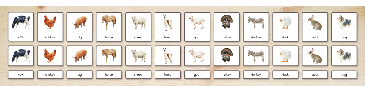 Farm Animals Nomenclature Cards