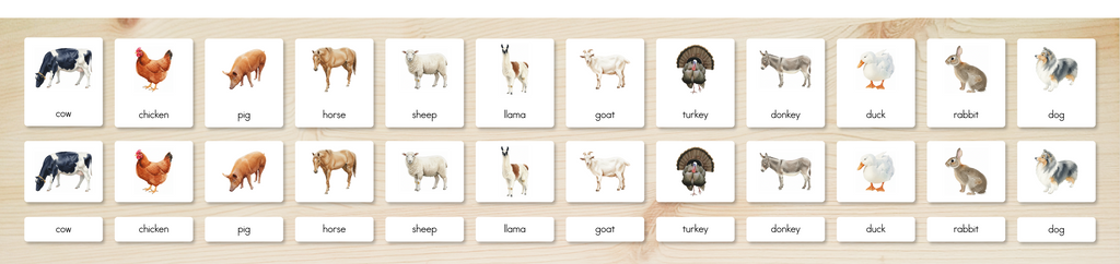 Farm Animals Nomenclature Cards