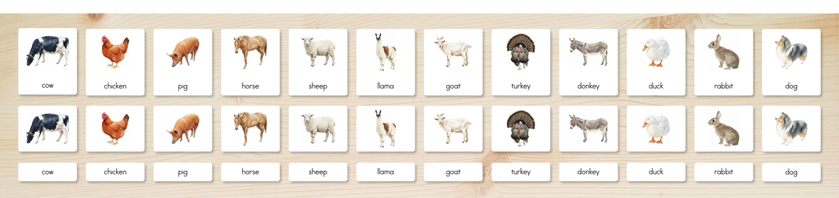 Farm Animals Nomenclature Cards