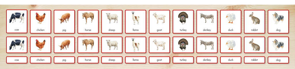 Farm Animals Nomenclature Cards