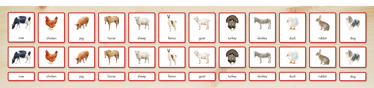 Farm Animals Nomenclature Cards
