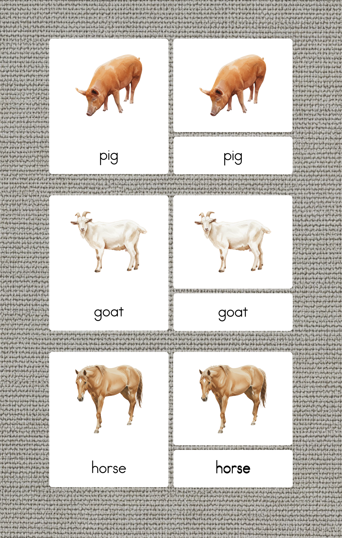 Farm Animals Nomenclature Cards