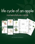 Life Cycle of an Apple Nomenclature Cards