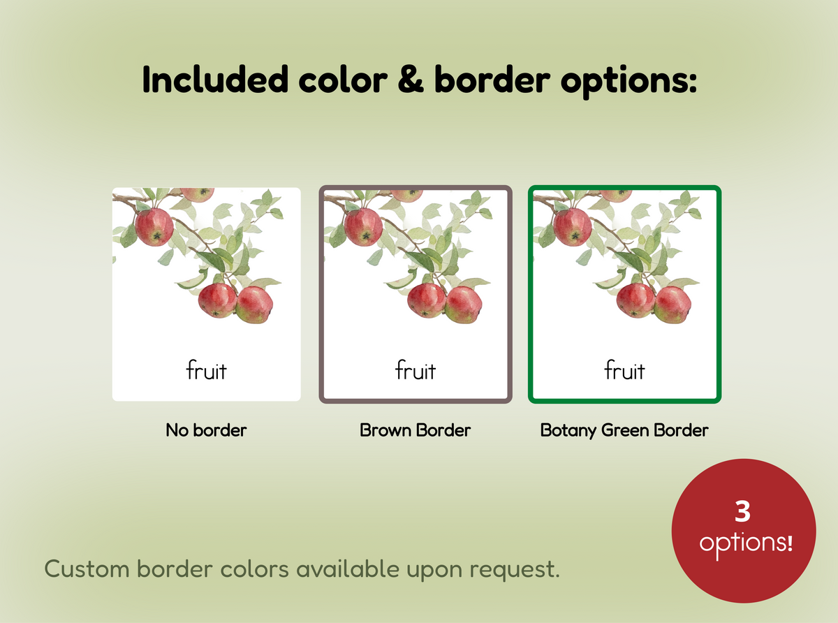 Life Cycle of an Apple Nomenclature Cards