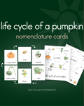 Life Cycle of a Pumpkin Nomenclature Cards