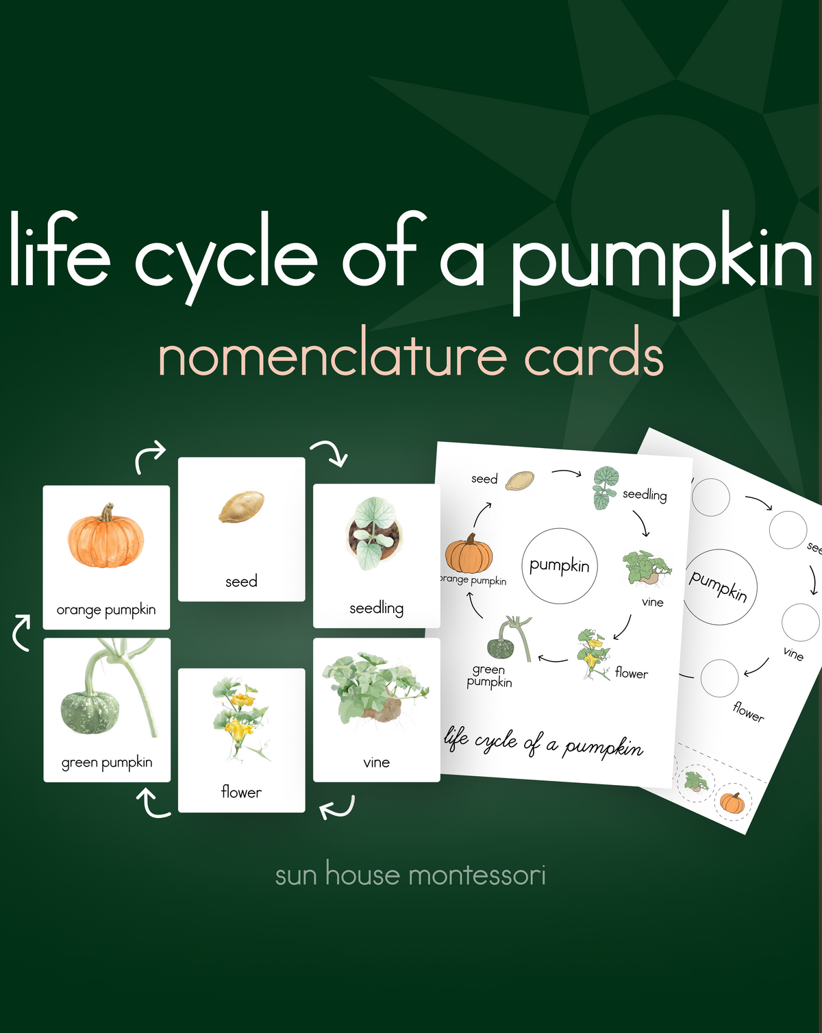 Life Cycle of a Pumpkin Nomenclature Cards
