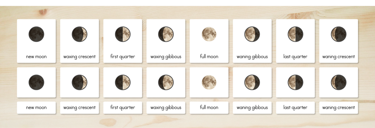 Moon Phases Nomenclature Cards