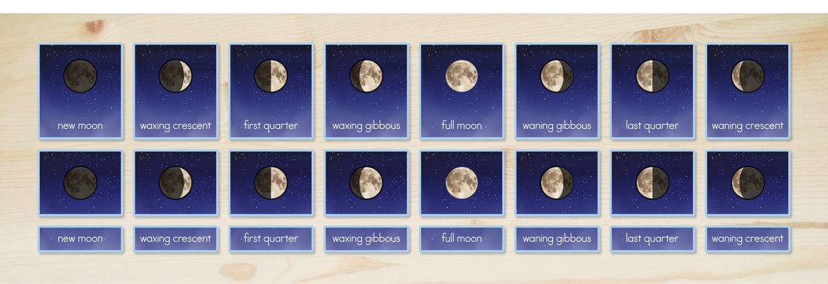 Moon Phases Nomenclature Cards