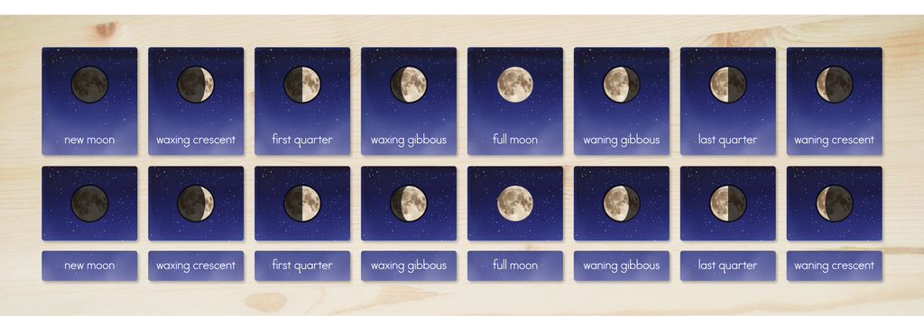 Moon Phases Nomenclature Cards