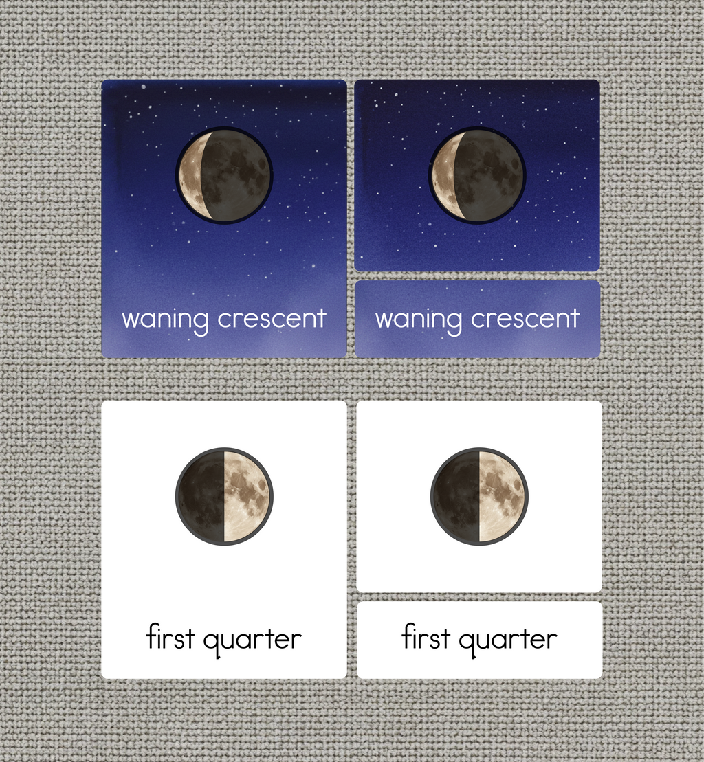 Moon Phases Nomenclature Cards