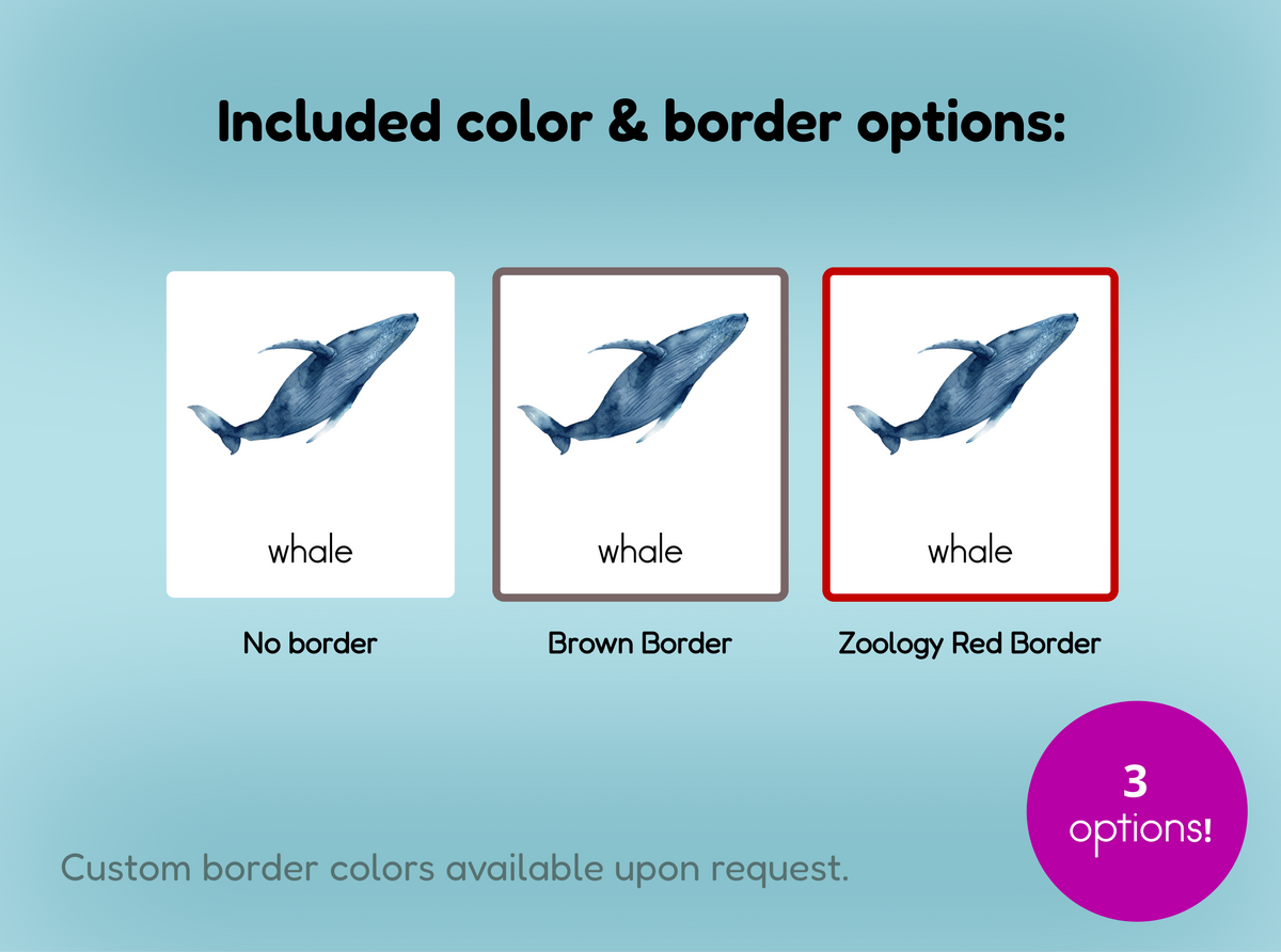 Ocean Animals Nomenclature Cards